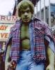lou ferrigno image4
