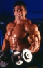 lou ferrigno img