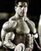 lou ferrigno photo