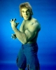 lou ferrigno photo2