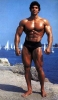 lou ferrigno pic