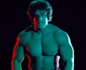 lou ferrigno picture1