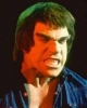 lou ferrigno picture2
