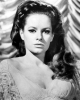 luciana paluzzi photo