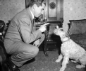 lucky luciano image