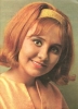 lulu image3