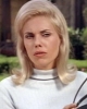 lyn peters picture
