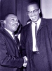 malcolm x picture