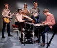manfred mann picture