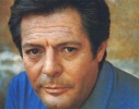 marcello mastroianni photo