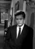 marcello mastroianni picture