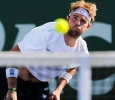 mardy fish image2