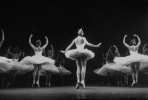 margot fonteyn image margot fonteyn image