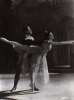margot fonteyn image3 margot fonteyn image3