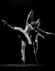 margot fonteyn picture1 margot fonteyn picture1