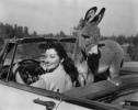 mari blanchard image4