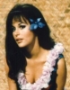 marianna hill photo