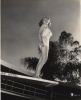 marie mcdonald image4