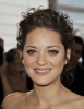 marion cotillard photo