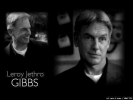 mark harmon image4