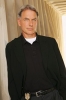 mark harmon photo1