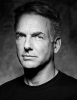 mark harmon photo2