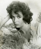 marla landi picture marla landi picture