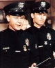 martin milner image1