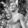 martin milner img