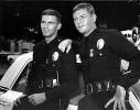 martin milner picture3