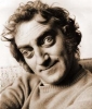 marty feldman picture