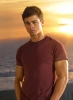 matt cohen picture