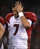 matt leinart image
