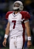 matt leinart picture1
