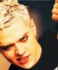 matt willis photo
