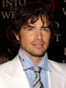 matthew settle picture