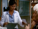 maura tierney picture3