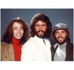 maurice gibb photo