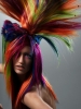 melrose bickerstaff image3