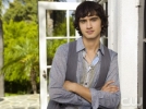 michael steger photo