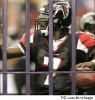 michael vick picture1