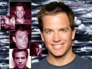 michael weatherly image1