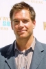 michael weatherly pic