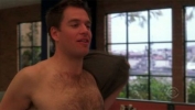 michael weatherly picture