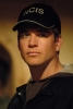 michael weatherly picture4