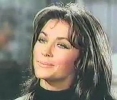 michele carey image