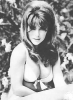 michele carey image2