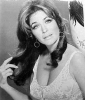 michele carey img