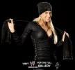 michelle mccool pic