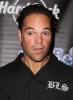 mike piazza photo2 mike piazza photo2
